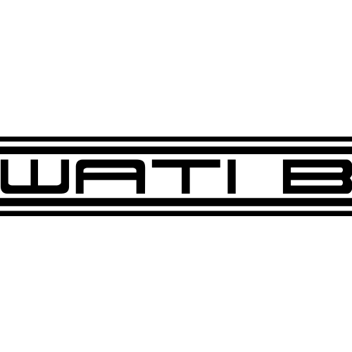 Lire la suite à propos de l’article Wati B
